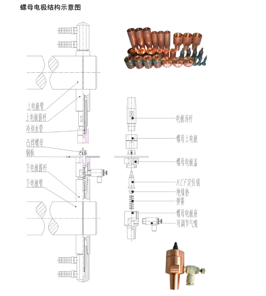 Schematische Darstellung der Struktur der Mutterelektrode.